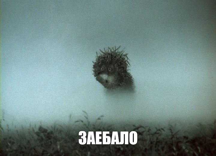 Ёжик в тумане
